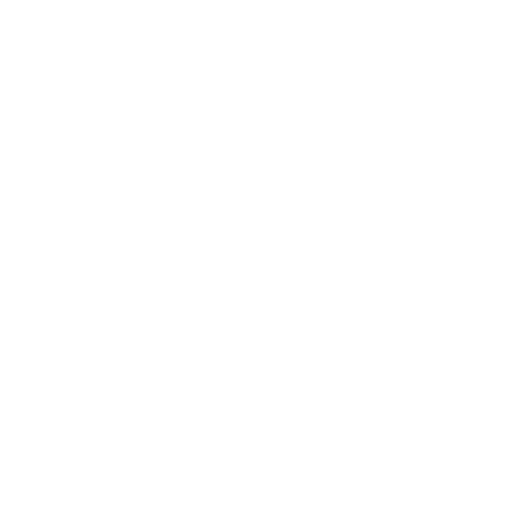 Logo Raeina Barbershop